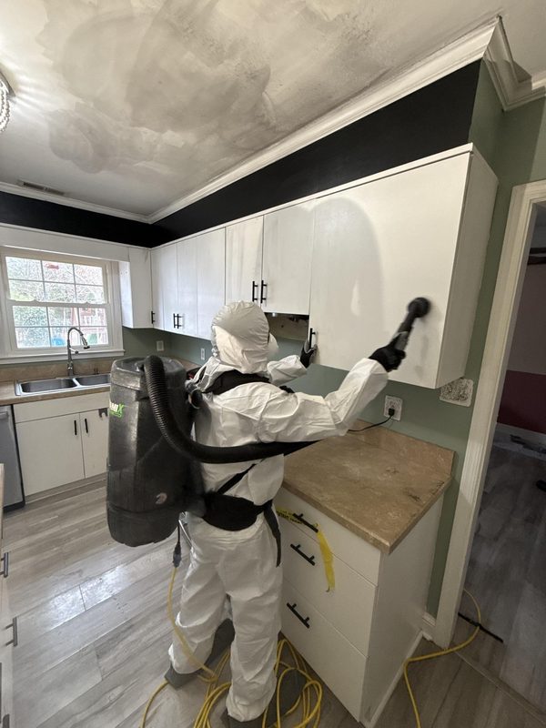 Mold Remediation