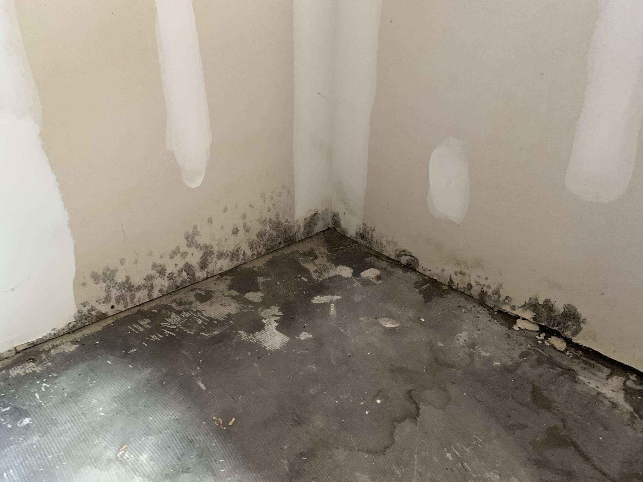 Mold growth on wall and floor corner in a Las Vegas home