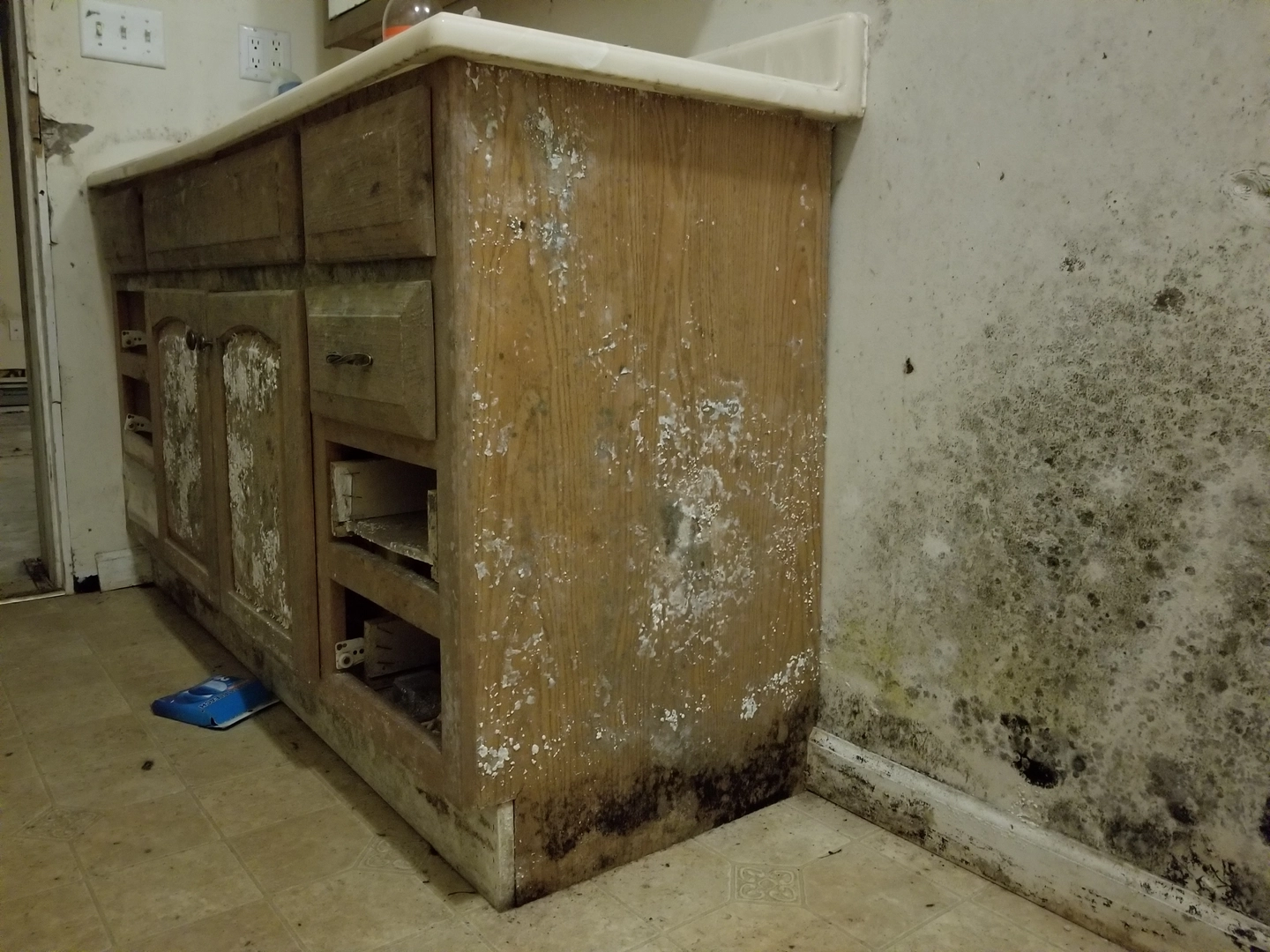 Extensive mold growth on kitchen cabinet and wall in a Las Vegas home